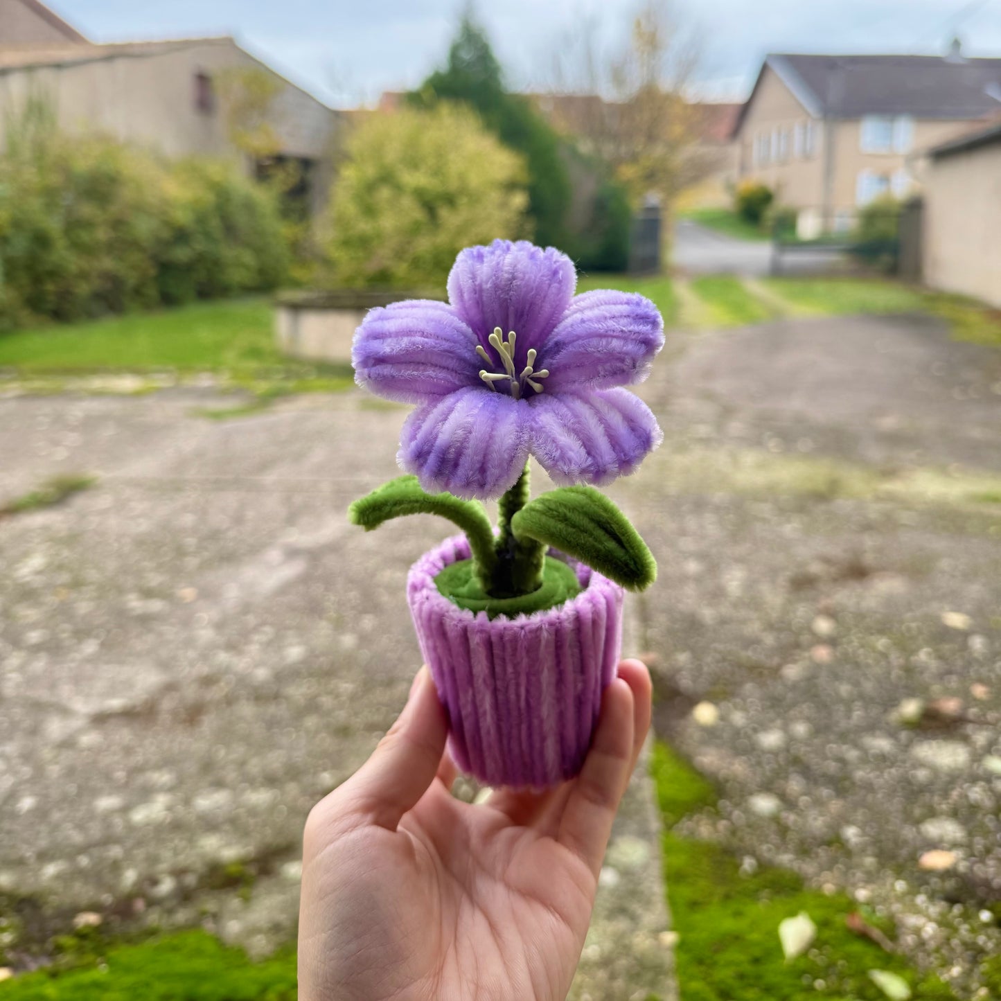 Pot de fleur hibiscus violetđș
