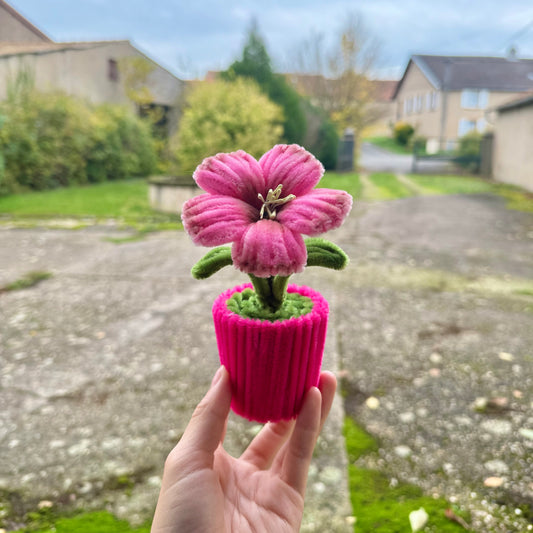 Pot de fleur hibiscus rose🌺